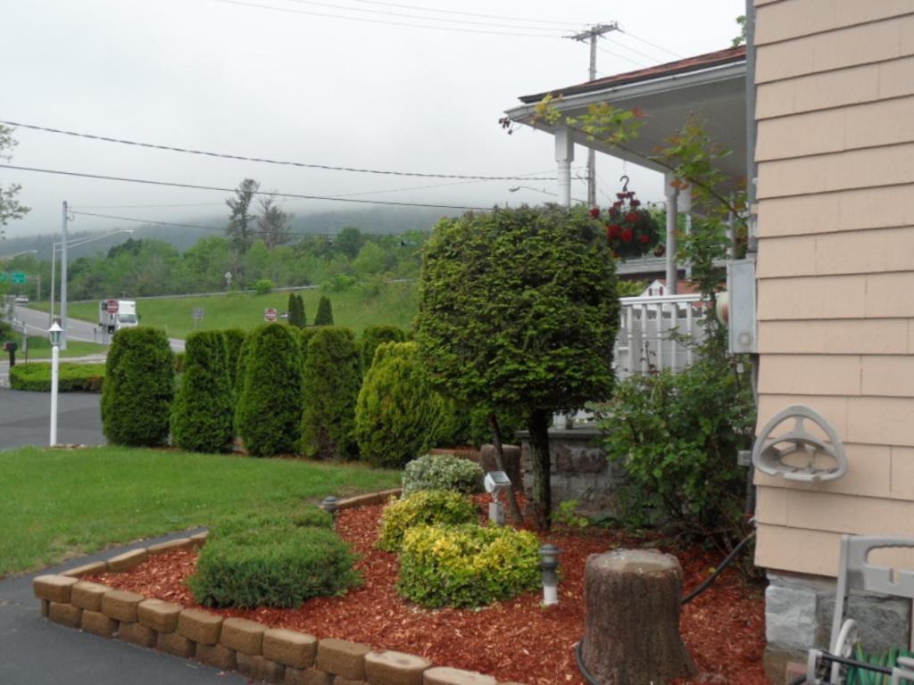 Seven Dwarfs Motel&Cabins Lac George Extérieur photo